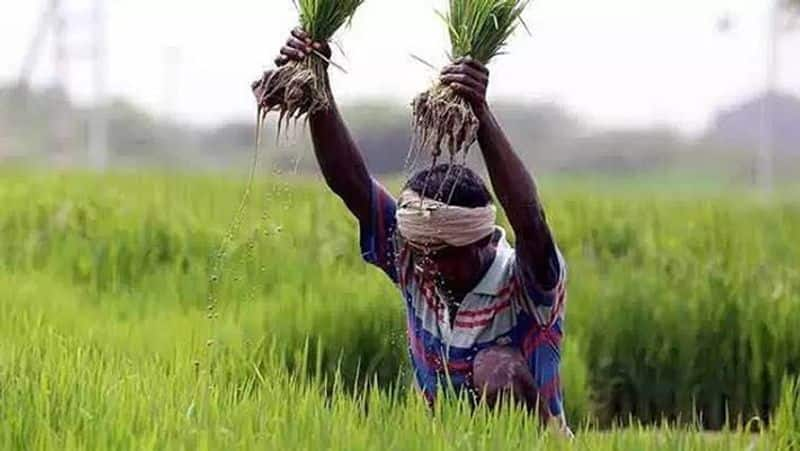 monsoon helped Indian farmers to increase there cultivation