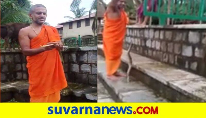 Pejawar vishwa theertha sri catches snake easily