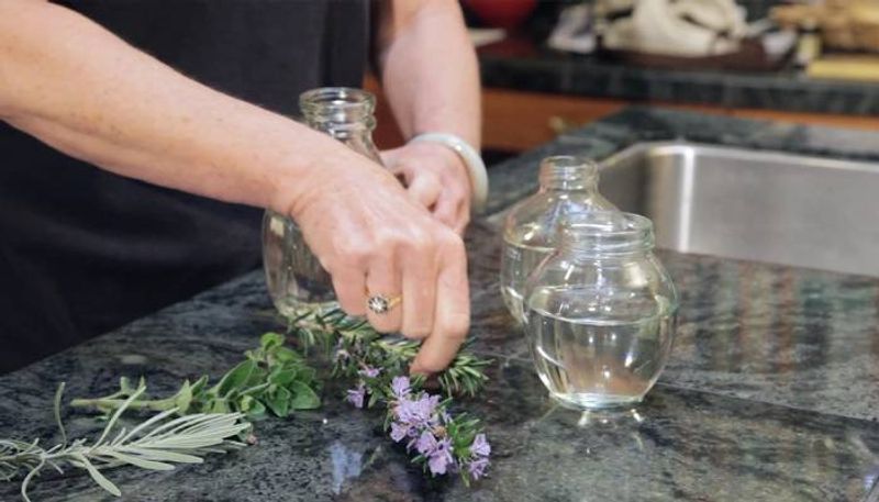 herbs and plants root in water