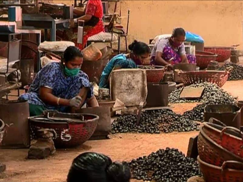 Cashew factories reopen after a gap of more than a month with  Strict restrictions