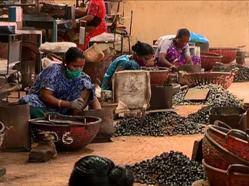 Cashew factories reopen after a gap of more than a month with  Strict restrictions