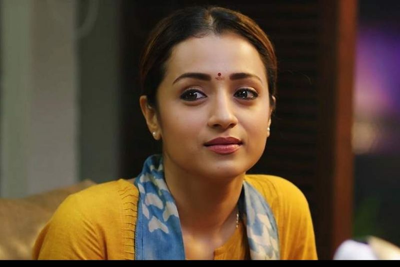 Vijay Sethupathy helps Trisha in crucial time