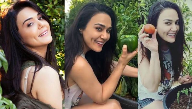 Preity Zinta is proud about her kitchen garden