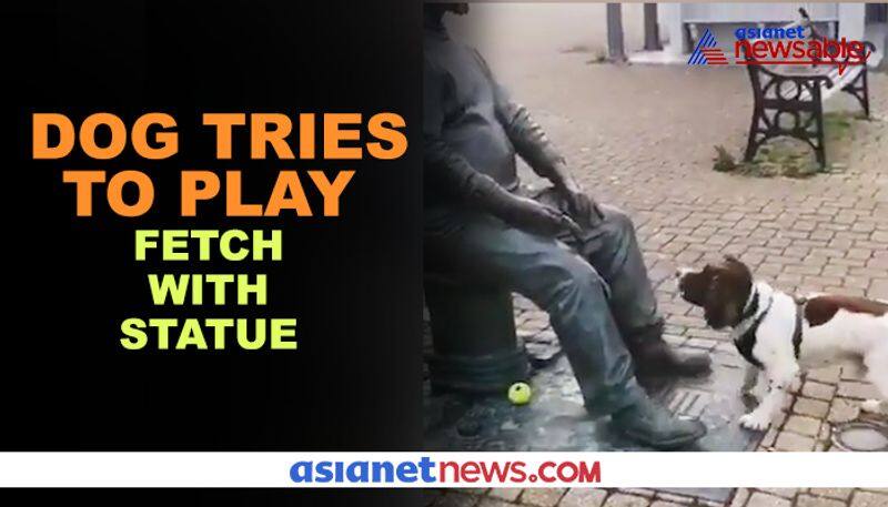 Watch Dog tries to play Fetch with statue; video goes viral