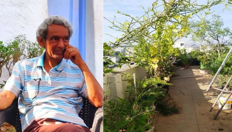 Tarakam Chaturvedula retired teacher grows plants in terrace