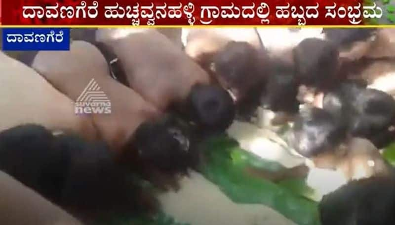 Peoples celebrates Festival amid coronavirus fear at Davanagere