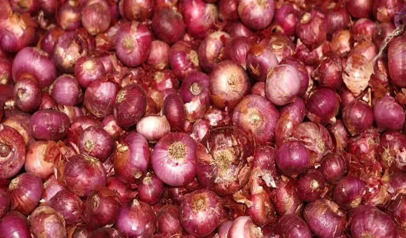 Central Govt Stop Onion Export snr