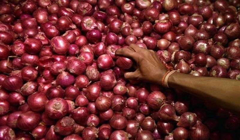 Onion  Price Will Be Hike Soon in Karnataka