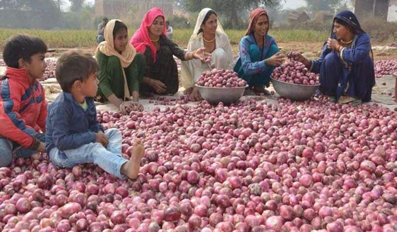 onion price in Pakistan  and India apk