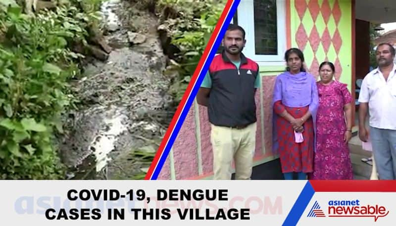 Double trouble: This Karnataka village battles COVID-19, dengue; authorities stay away