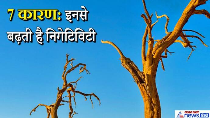 घर के आस-पास हो कोई सूखा पेड़ तो उसे हटा दें, इन 7 कारणों से भी घर में बढ़ती है निगेटिविटी