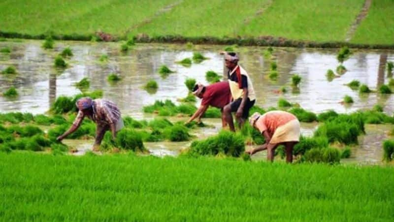 1000 Crore Released For Farmers Under Kisan Samman Yojana