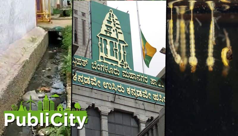 Bengaluru As COVID-19 spreads, BBMP runs campaign to kill larvae before dengue bomb explodes