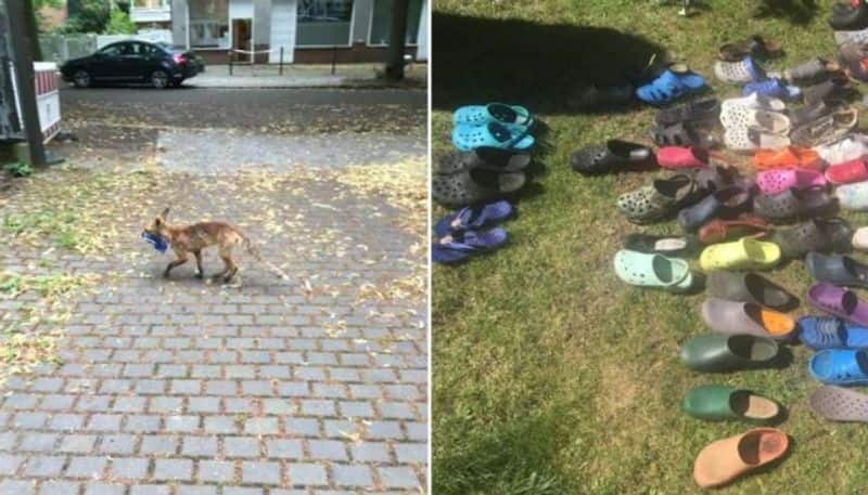 Town Baffled By Disappearance Of Over 100 Shoes. Thief Turns Out To Be