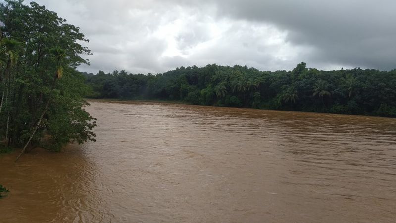 Monsoon Rain Affected on 10 Districts and reports 8 Death on Augest 6th