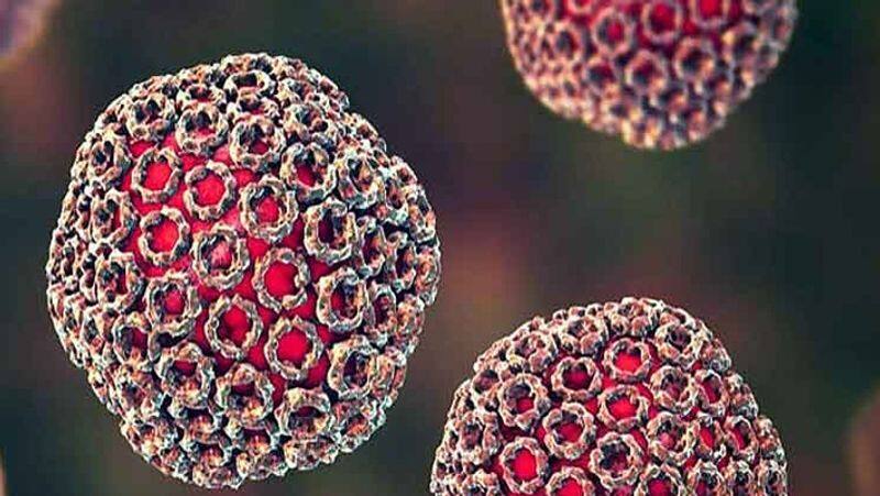 Coronavirus positive cases cross 75 thousand in Telangana