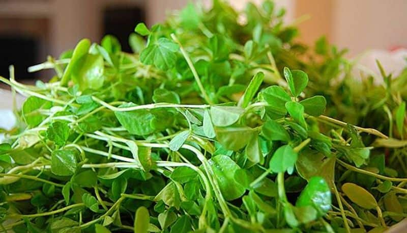 how to grow methi in home