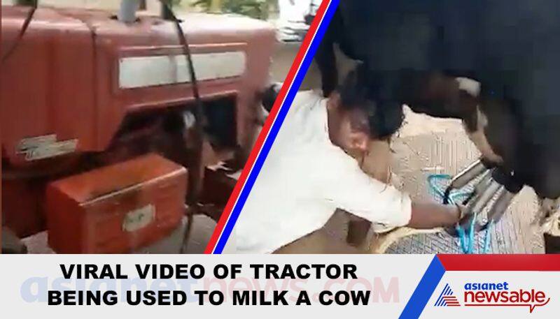 Watch Tractor used to milk cow; viral video leaves netizens speechless