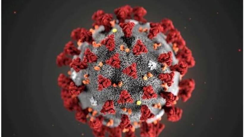 Delhi, Mumbai see dip in COVID 19 cases; Bengaluru, Kerala see rise in infections