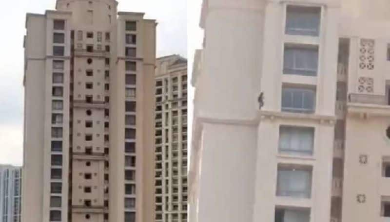 Viral video of  Girl Walking on Ledge of High Rise Apartment