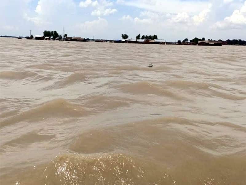 Shepherd with 200 Sheeps Struck in Flood in Yadgir district