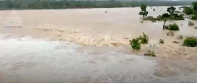 Heavy Rain in Karnataka Floods Destroy Crop in Shivamogga