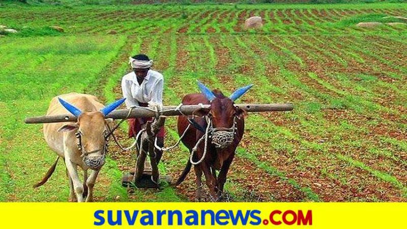 Increase in agricultural dependents in the country, decrease in Karnataka grg 