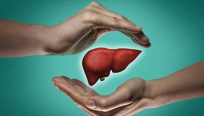 liver