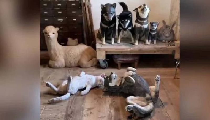 Can You Spot The Real Dog Among these Wooden Replicas