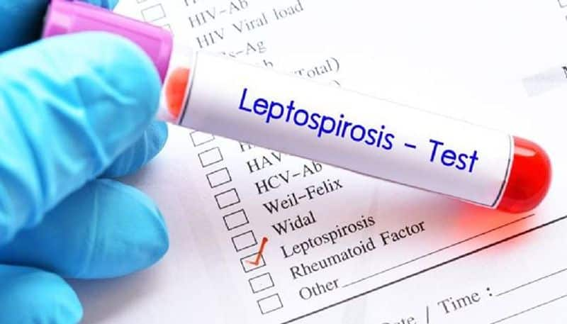 leptospirosis causes symptoms and treatment