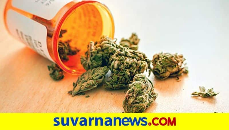 Person Arrest for Selling Marijuana in Gadag