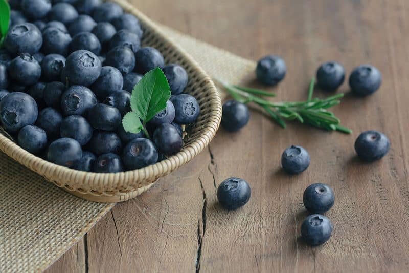 Heres how blueberry-enriched diet will help women in their diet-dnm