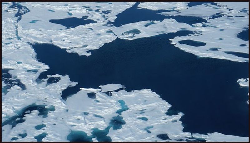 Arctic sea ice could completely VANISH by 2035