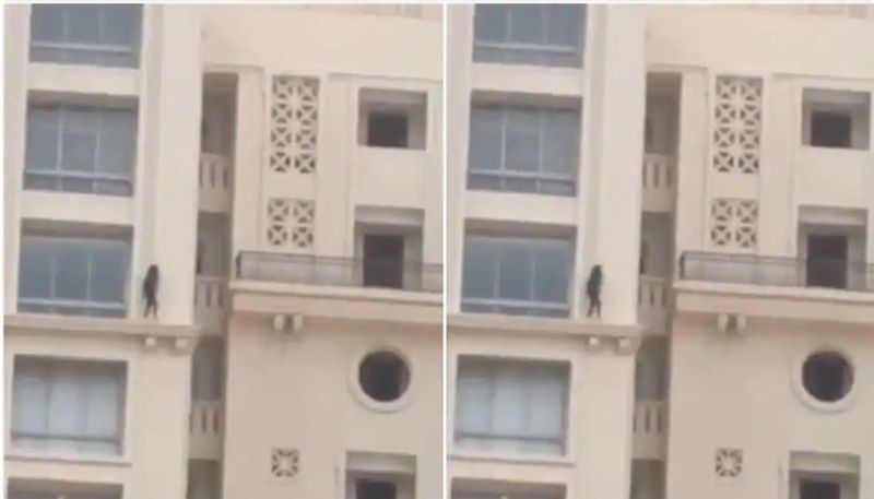 Girl Walking on Ledge of High-Rise Apartment in chennai Goes Viral