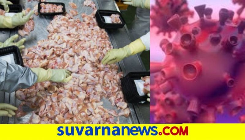 chinas shenzhen says chicken imported from brazil tests positive for coronavirus