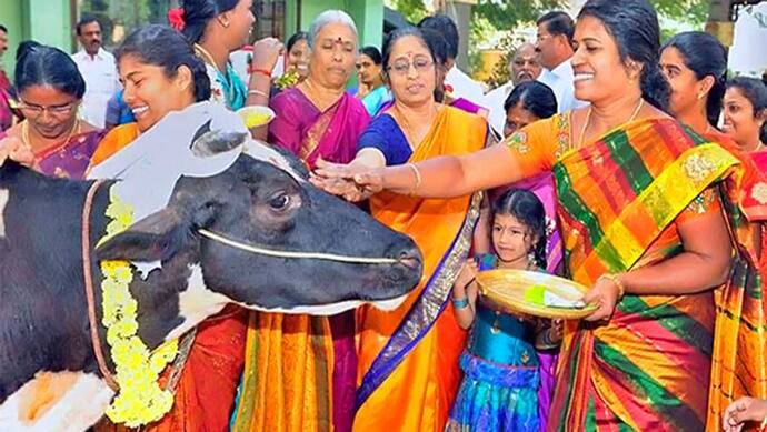 शनिवार को इस विधि से करें बछ बारस का व्रत और पूजा, घर में बनी रहेगी सुख-समृद्धि