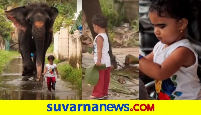 two year old girl is the tiny best friend of an old female elephant in kerala