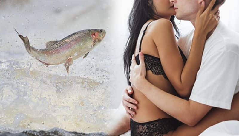 What does fish have to do with your sex life? Read this RCB