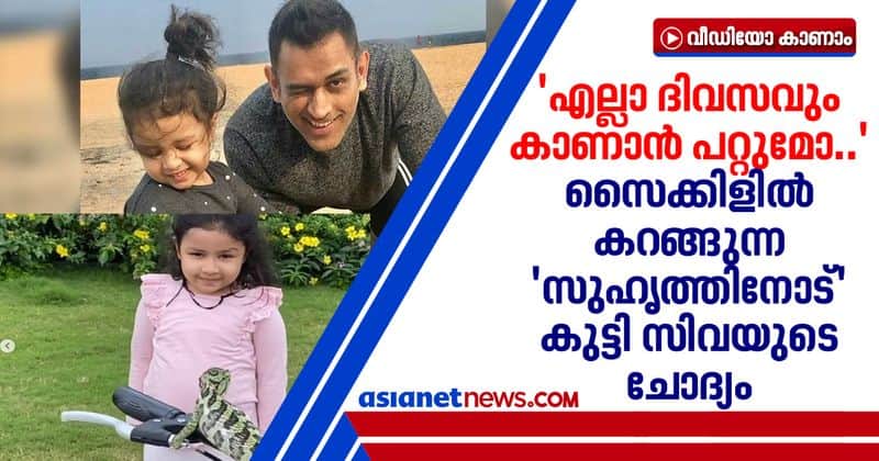 ms dhoni daughter ziva makes new friend chameleon