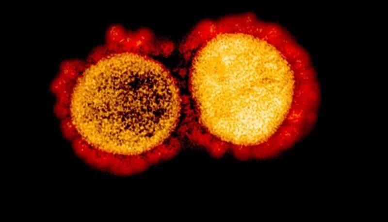 Coronavirus Trail of bubbles leads scientists to find new COVID-19 clue-dnm