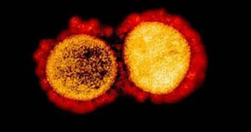 D614G New coronavirus strain found in Malaysia 10 times deadlier-snj