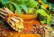 Ayurveda to be introduced in veterinary sciences