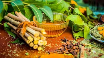 Ayurveda to be introduced in veterinary sciences