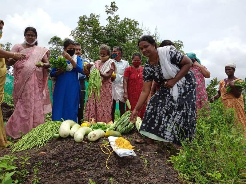 hilltop farming in varingilora