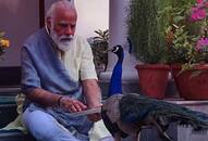 PM Modi posts precious moments of him feeding peacocks-dnm