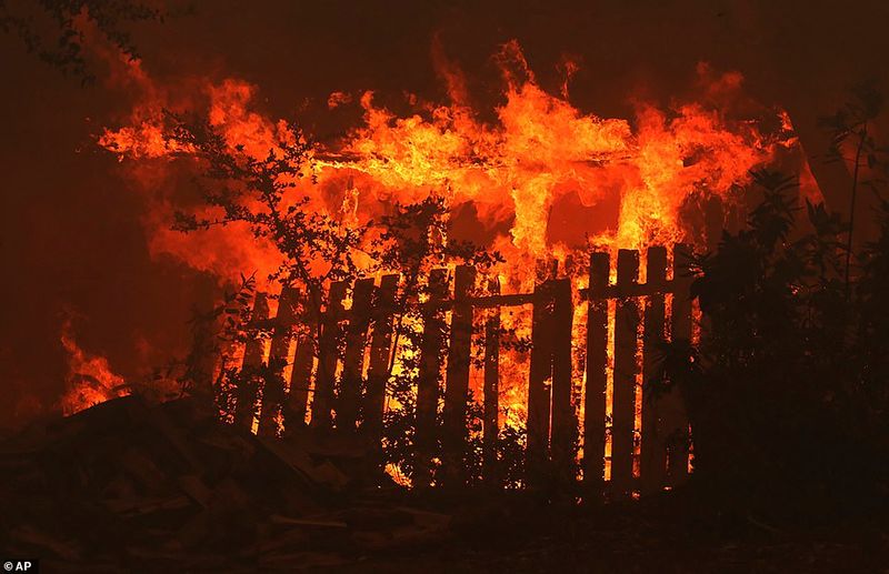 Fire to Kanive Maramma Hill Forest in Chitradurga grg