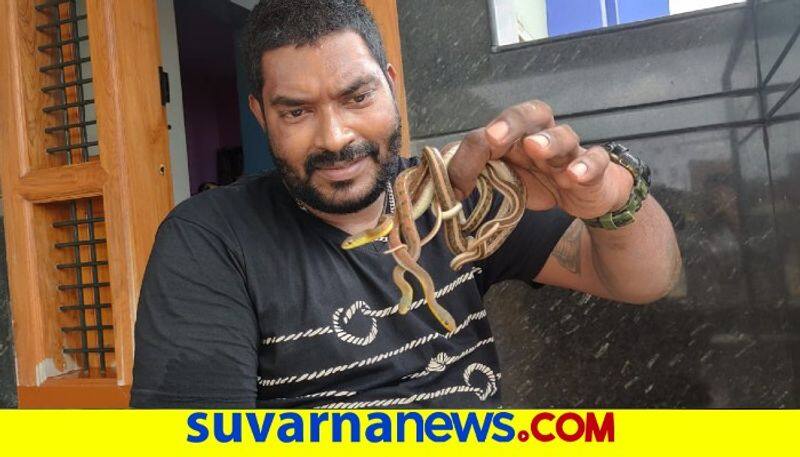 Rare Snake Found in Shivamogga