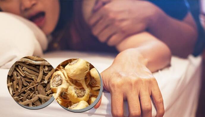 <p>Diet and exercise offer the best solutions for stimulating sexual desire; yet some herbal tools may also give support. When you need a little increase, turn to these seven herbs for help.</p>
