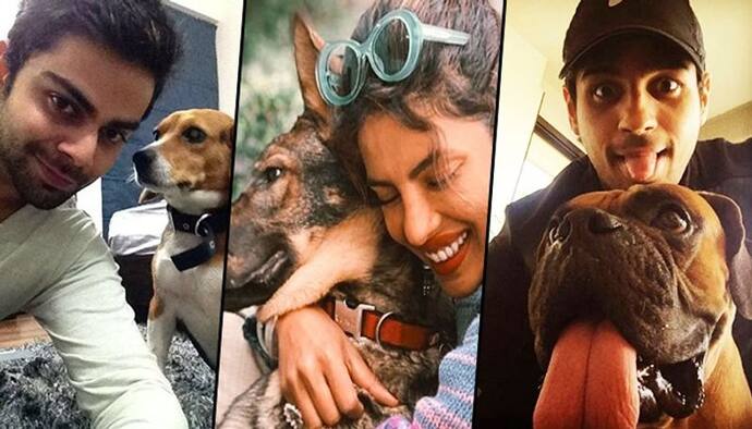 <p>Indian celebs are fond of their pets. From Instagram updates to numerous photoshoots with their pets, there's no end to showing the love they have for their darling pooches. Here are 15 photos of some of the celebs with their cute pets:</p>
