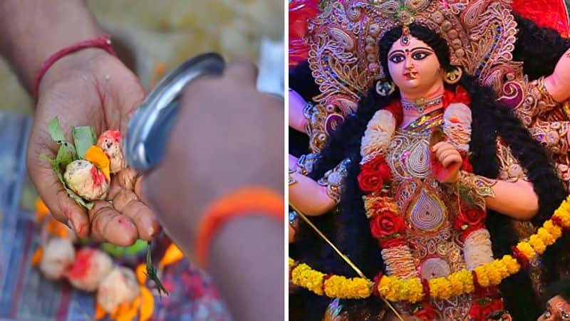 After 58 years this navarathri creates durlabha yoga effects on zodiac sign